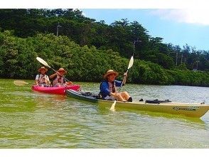 【沖縄・やんばる】マングローブ&太平洋(リバー&シーカヤック)♪(5時間コース)の画像