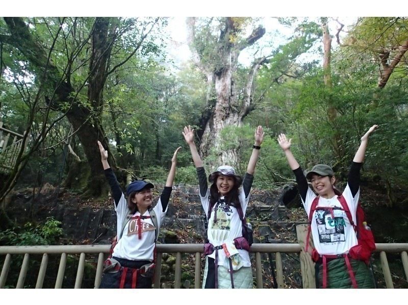 グループ参加でお得！白谷～縄文杉1泊ツアー【無料レンタル付で身軽に屋久島】AM下山で午後離島可能