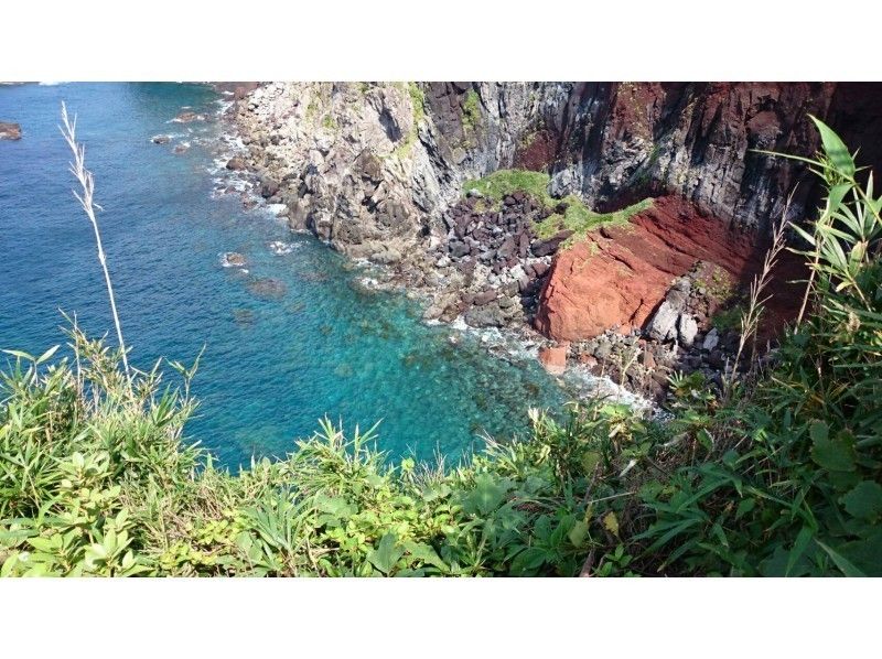 【平日限定】嵯峨島ノルディックウォーキング