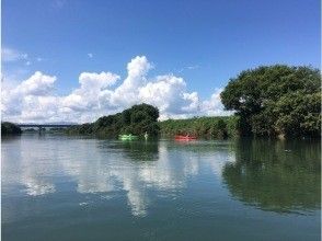 貓頭鷹自然學校
