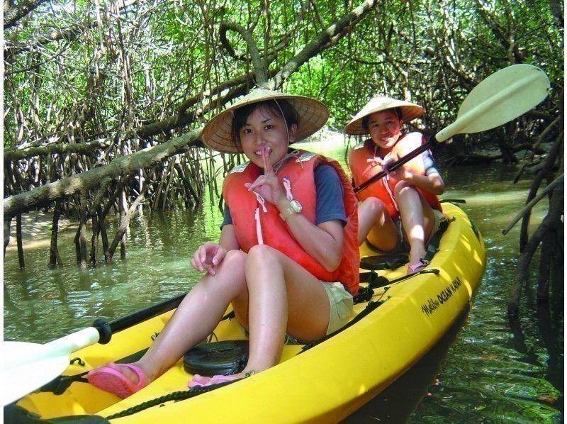 [沖縄-石垣島] Miyara River Mangrove獨木舟體驗！享受小冒險♪（團體最多80人）の紹介画像