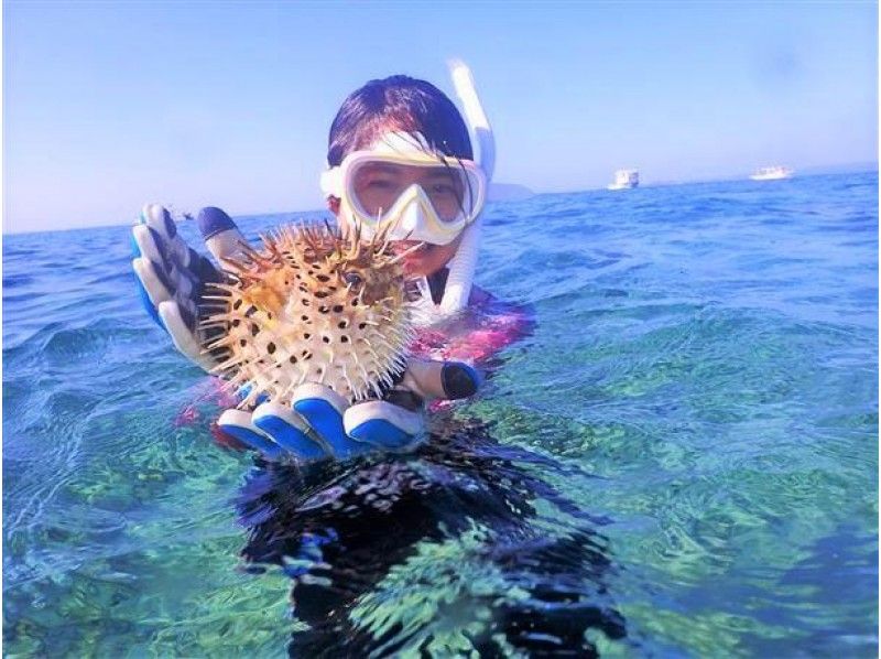 沖縄 石垣島 2大人気スポット 幻の島上陸 青の洞窟探検 シュノーケル カラフルお魚さんご礁or 海ガメサンゴ礁 コロナ対策実施中 アクティビティジャパン