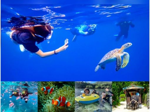 SALE！【ウミガメ遭遇率99%】当日予約OK★ウミガメシュノーケル＆青の洞窟 《写真＋4K動画＆器材＆送迎無料》3才～＆1名可／竹富格安券の画像
