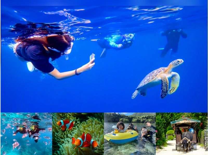 [Ishigaki Island] Same-day reservations OK! Popular NO.1 Sea Turtle High Encounter Rate Blue Cave & Sea Turtle Snorkel << Photo Data, Equipment & Free Pick-up >> Super Summer Sale Now Ongoingの紹介画像