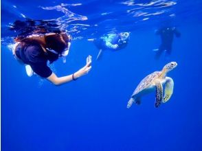 当日予約OK★【石垣島】初心者サポート&1名参加可♪《写真・器材＆送迎無料》当店人気NO.1★青の洞窟＆高遭遇率99％ウミガメシュノーケル！