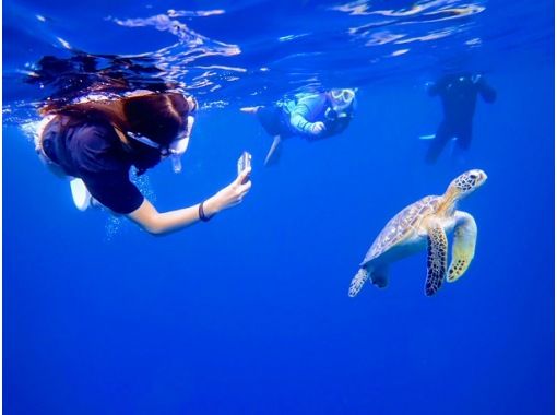 当日予約OK★【石垣島】初心者サポート&1名参加可♪《写真・器材＆送迎無料》当店人気NO.1★青の洞窟＆高遭遇率99％ウミガメシュノーケル！の画像