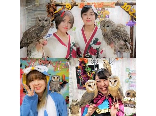 東京 池袋動物カフェ フクロウカフェ池袋 ハリネズミとのふれあい体験をお得に同時体験 平日 時間無制限 池袋駅西口より徒歩3分 アクティビティジャパン 東京 池袋動物カフェ フクロウカフェ池袋 ハリネズミとのふれあい体験をお得に同時体験 平日 時間無制限 池袋駅西口より徒歩3分 アクティビティジャパン