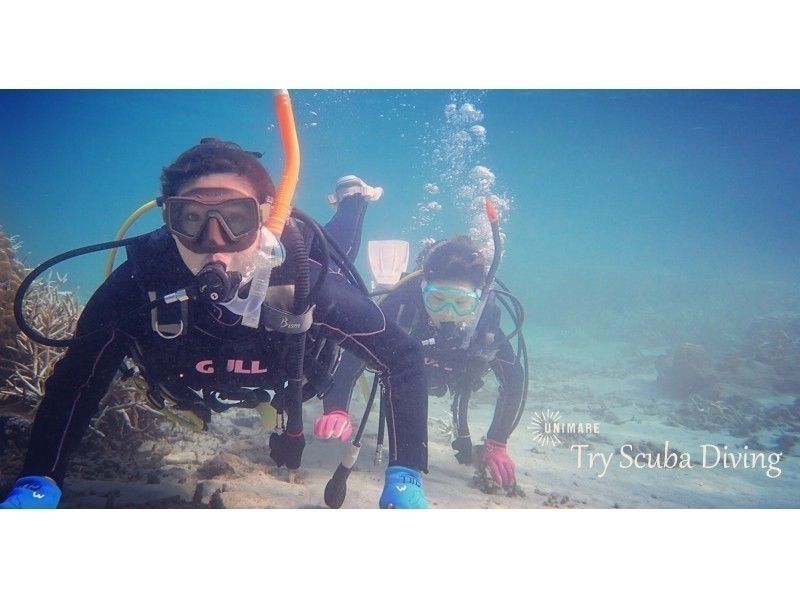 【鹿児島・奄美大島】1ツアー1組限定！「体験ダイビング＆ネイチャーツアー」選べる4コース