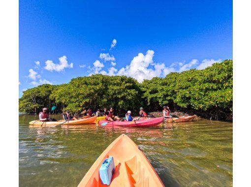 【沖縄・億首川】沖縄県カヤック・カヌー協会公認ガイドと行く・マングローブ林&rarr;海&rarr;ビーチ上陸・初心者でも２度目の参加でも楽しめる・無料撮影付の画像