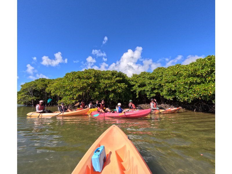 【北海道・SUP体験】透明度の高い支笏湖の湖面をクルージング！SUP体験（半日コース）の画像