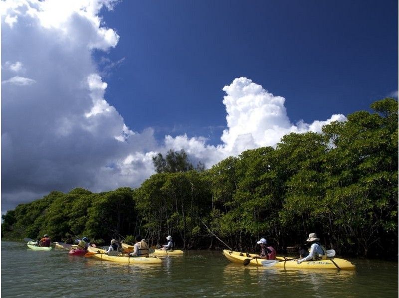 [Okinawa ・ Okukubi River] Early reservation preferential discount, mangrove kayak, river-sea-local beach landing adventure tour, GOPRO shooting image & video free giftの紹介画像