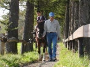 【北海道・富良野】曳き馬:シラカバコース OR ピリカコースの画像
