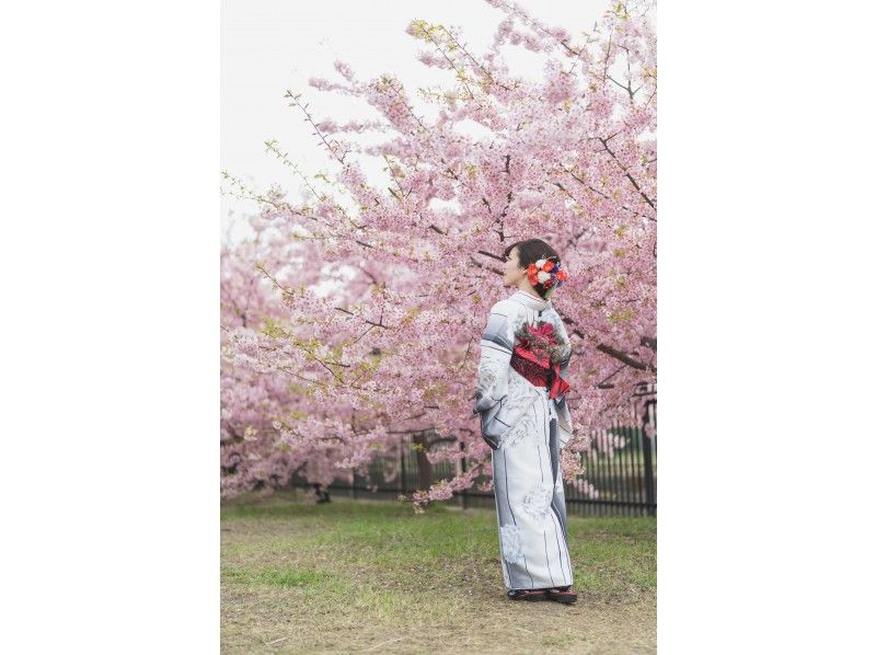 京都 祇園 超豪華プレミアムプラン 着物レンタル ヘアセット 高級