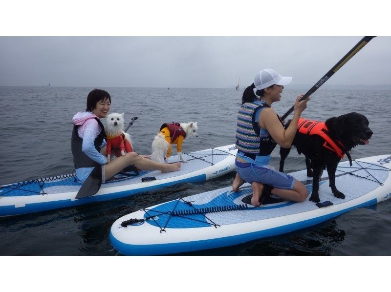 SMART SUP レッスン（SUP検定４級付）