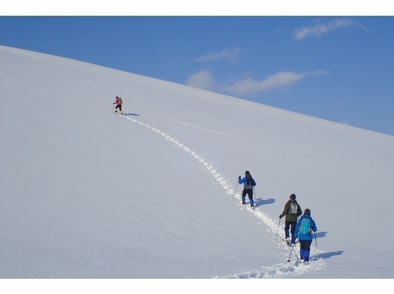 Snow shoes/Snow trekking