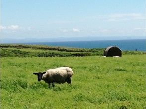 [北海道燒尻島]春季野菜引導步行和烹飪體驗計劃