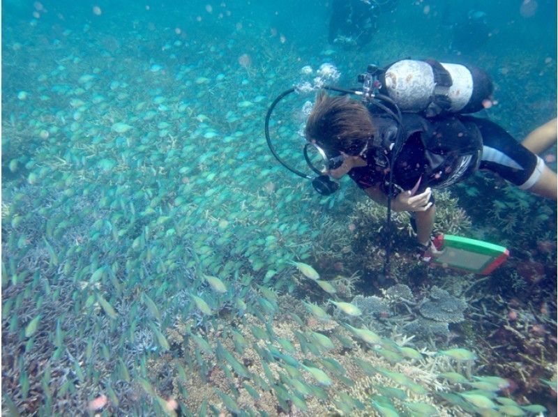宮古島ビーチ貸切ファンダイビング　ＧｏＰｒｏ無料レンタル！！