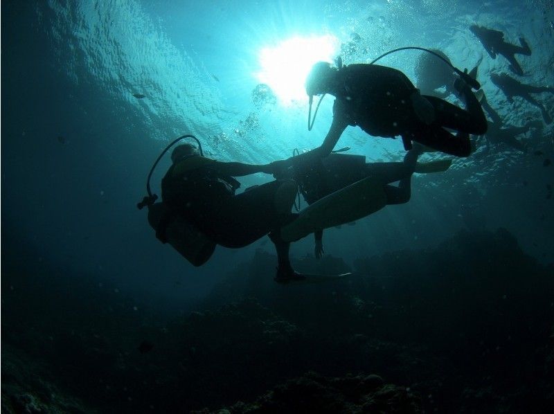 【体力に自信がなくてもOK!ボートクルーズ付】青の洞窟体験ダイビング★その他エリアオーダーOKです。