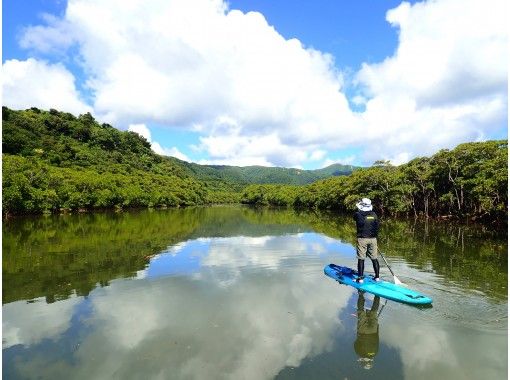 [Iriomote Island] [1 day] Adventure in Jurassic Park with topical SUP! Mangrove SUP and waterfall trekking [free photo data] (3 snacks and drinks included)の画像