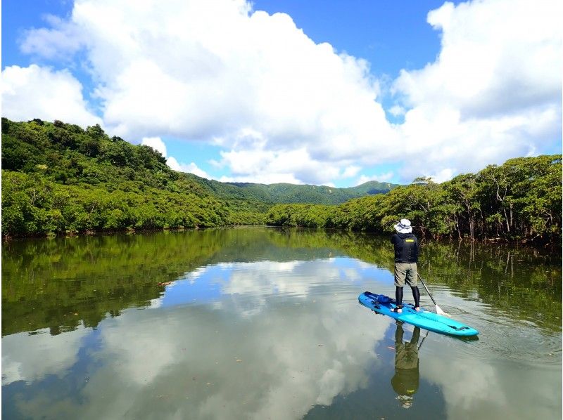 [Okinawa, Iriomote Island] 1 day topical mangrove SUP and waterfall trekking! free photo data!