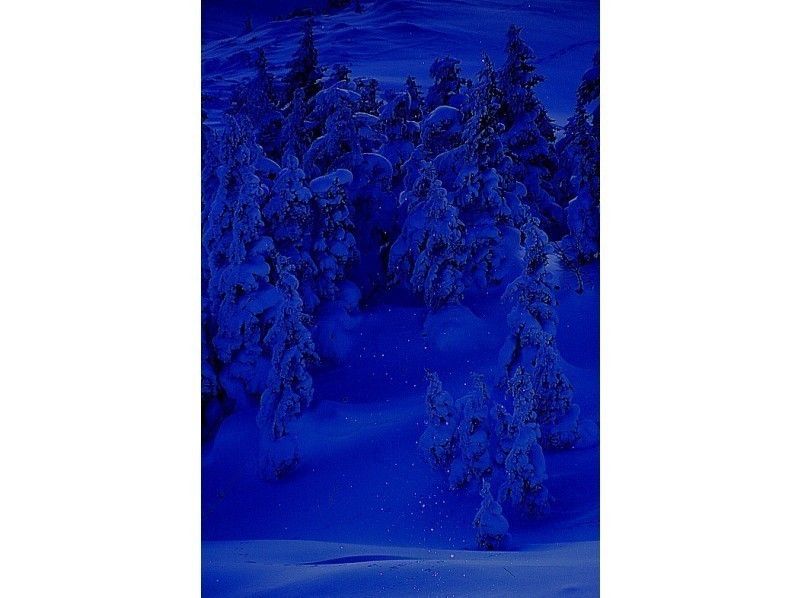 【北海道・富良野】ナイトツアー 森と星の散策と雪の露天風呂