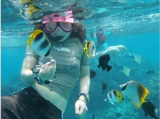 【Kagoshima · Yoron Island】 Ryu Miyagi Snorkeling Tourの画像