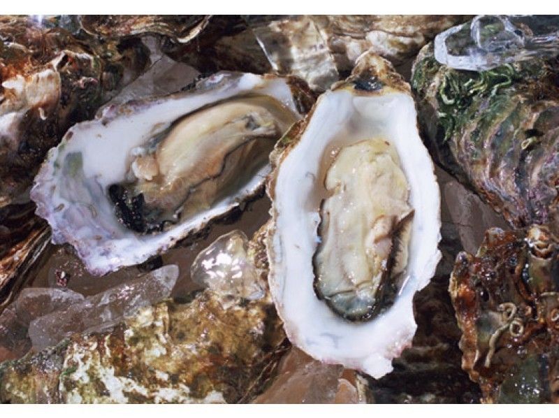 【Winter only! 】 Excellent access! All you can eat oyster oyster from Ise · Futamiura barbecue center!の紹介画像
