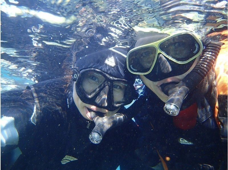 【神奈川・小田原/西湘】カップル割引あり！お得な体験ダイビングプラン