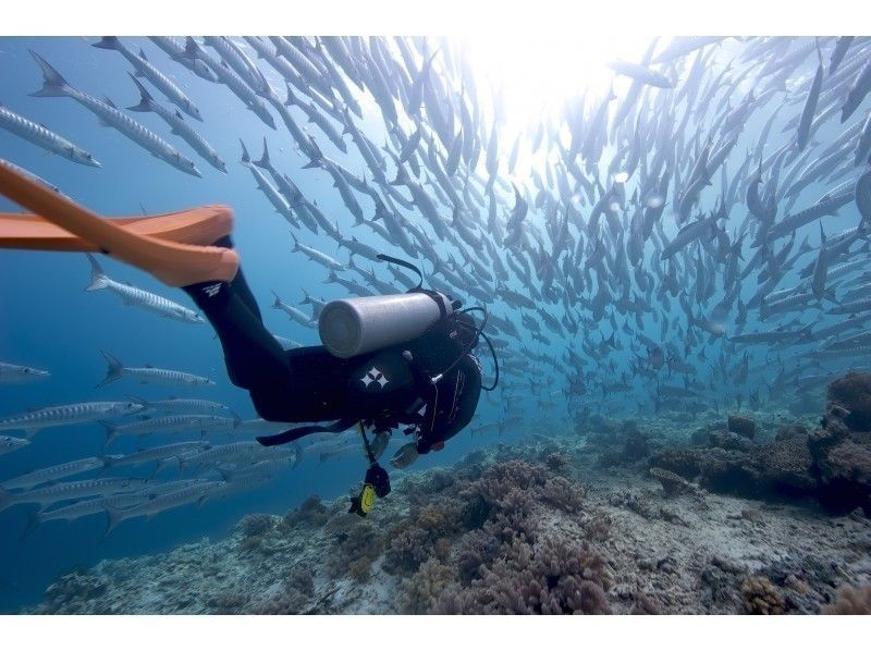 【神奈川・小田原/西湘】都内から近い！ゆっくり２ビーチダイビングプラン（小田原駅無料送迎）