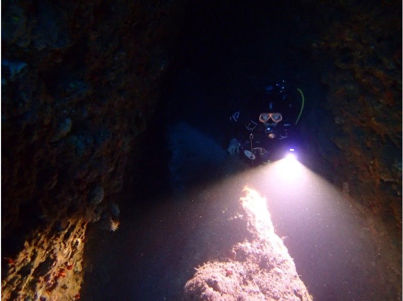 【神奈川・小田原/西湘】人気のナイトダイビング★１ビーチ１ナイトダイビングプランゆっくり午後から集合