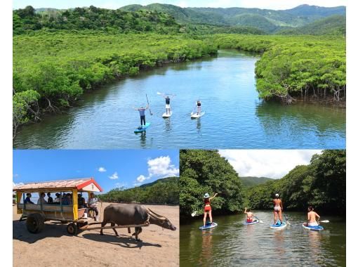 SALE！【西表島・由布島】SUP＆日帰り離島ツアー｜認定ガイドと行く世界自然遺産SUP ＆ 水牛車で渡る由布島の島時間旅(写真データ付)の画像