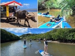 【西表島／由布島】SUP＆日帰り離島ツアー｜認定ガイドと行く世界自然遺産SUP ＆ 水牛車で渡る由布島の島時間旅(写真データ付)