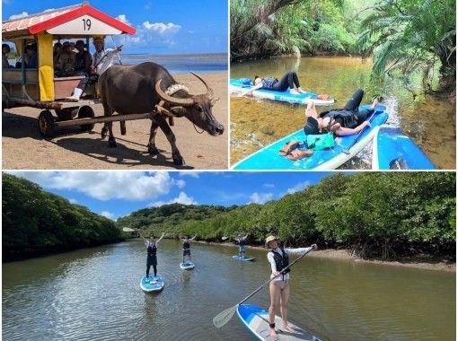 【西表島／由布島】SUP＆日帰り離島ツアー｜認定ガイドと行く世界自然遺産SUP ＆ 水牛車で渡る由布島の島時間旅(写真データ付)の画像