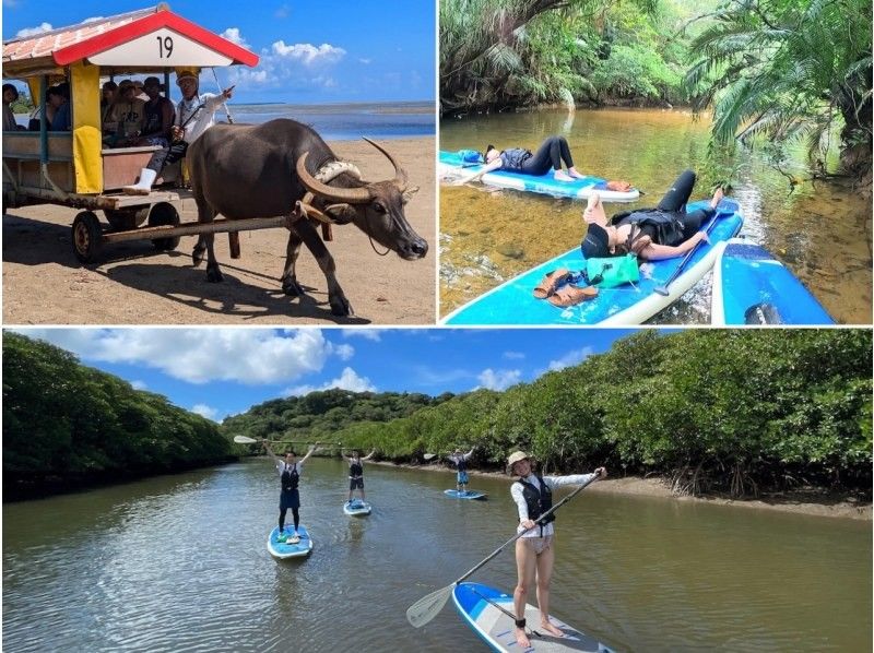 【西表島／由布島】SUP＆日帰り離島ツアー｜認定ガイドと行く世界自然遺産SUP ＆ 水牛車で渡る由布島の島時間旅(写真データ付)の紹介画像