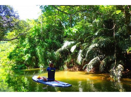 [Iriomote Island] [half-day] A great adventure with SUP from Japan's largest mangrove to a mysterious jungle! [free photo data] Recommended for couples, Female and families!の画像