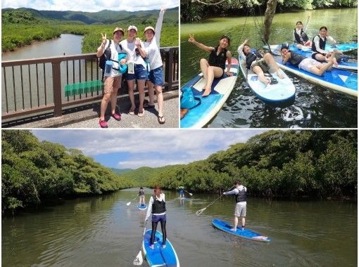 【西表島／半日】「島の認定ガイド」と行くジャングルSUP｜世界自然遺産のマングローブ探検（石垣島日帰りOK／写真・動画データ付）の画像