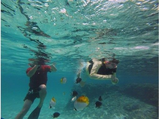 【Kagoshima · Yoron Island】 Relaxing even for the first person ☆ Snorkel tourの画像