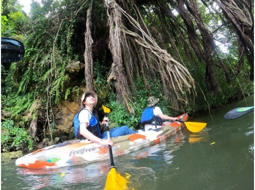 Central main island/convenient access! Mangrove Kayak Tour ★ [Same-day reservations possible] Tour image gift!の画像