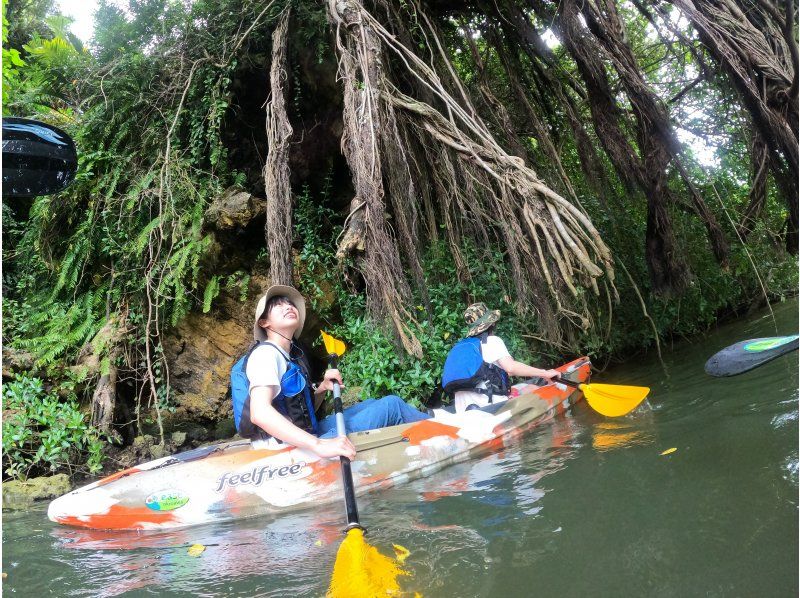 Central main island/convenient access! Mangrove Kayak Tour ★ [Same-day reservations possible] Tour image gift!の紹介画像