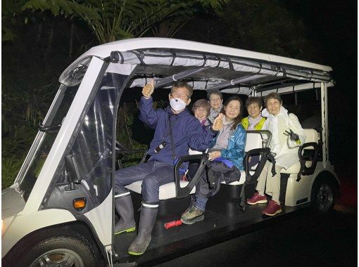 【鹿児島・奄美大島】電気自動車で行く奄美大島ナイトツアー、アマミノクロウサギと未体験の夜の冒険！（1名様からOKです）の画像