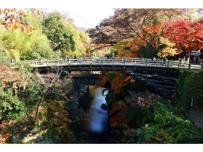 【山梨・甲州・大月】猿橋満喫コース