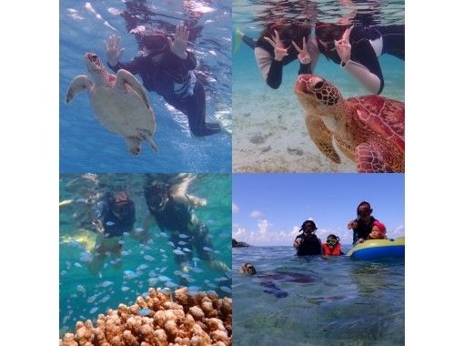 [Okinawa, Miyakojima] Sale in progress! Exciting sea turtle and tropical fish snorkeling for ages 3 and up! No seasickness as you don't get on a boat! 1.5 hours, free photo dataの画像