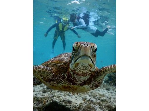 地域クーポン可 12年前 営業中 ウミガメブームの火付け役 元祖海亀と一緒に泳ぐ珊瑚礁シュノーケルフォトツアーニモにも会えるよ 団体割 アクティビティジャパン