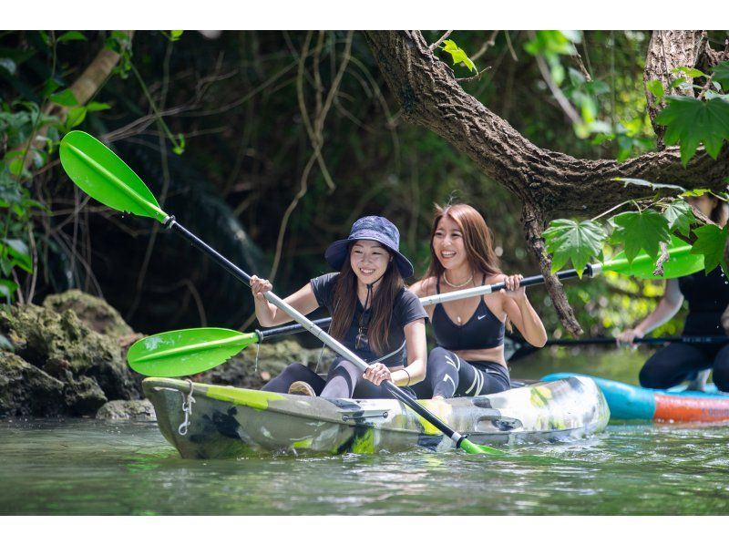 [Group discount for 4 or more people] Mangrove Kayaking: Enjoy a great deal at our new facility equipped with hot showers and hair dryers. Exhibit admission included! Children welcome!の紹介画像