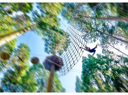 Have fun in the forest in Shiga Prefecture! A dynamic adventure course (for ages 10 and up) [Forest Adventure, Ritto]の画像