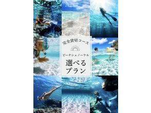 【沖縄・石垣島】貸切コース・ビーチシュノーケル♪スキンダイビング、ドローン撮影、見釣り…♪選べるプラン☆写真・動画プレゼント♪