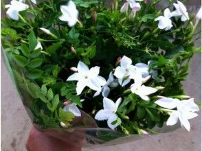 [Chiba / Choshi] Early summer-early winter Pick up jasmine flowers and create fragrant bouquets!