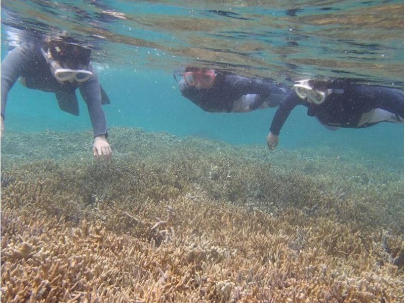 【沖縄・宮古島】初心者でも大丈夫 ♪ ビーチシュノーケリング！波打ち際からお魚パラダイス！
