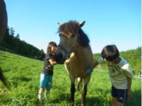 【北海道・富良野】曳き馬:親子乗りコースの画像