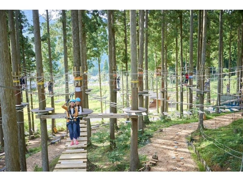 【福井・池田町】樹の上のアスレチックで遊ぼう!ディスカバリーコース